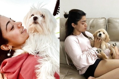 Rashmika Mandanna Shares Adorable Photos Featuring Dogs From Her Gallery, Fans React; See Here