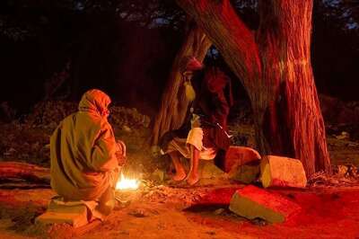 Cold Wave Conditions Prevail in Rajasthan, Pali District Area Records Min 4.8 Degree Celsius