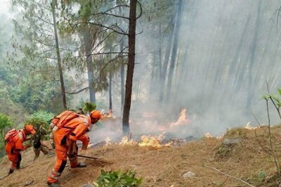 NGT Asks UP, Uttarakhand to Submit Management Plan on Forest Fires