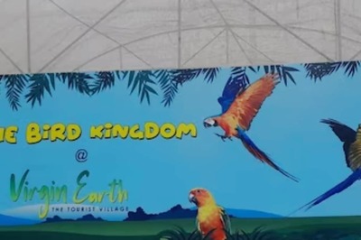 Flying Squirrels To African Gray Parrot, Virgin Earth's Aviary In Ooty Is Heaven For Bird Enthusiasts