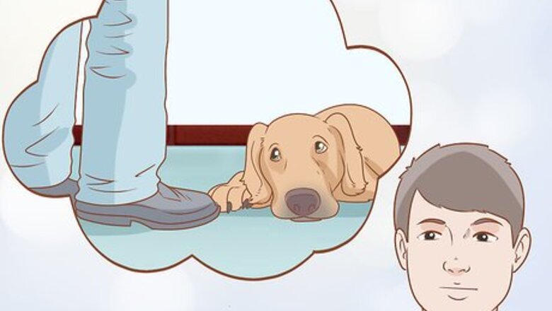 How to Tell if Your Dog Is Depressed