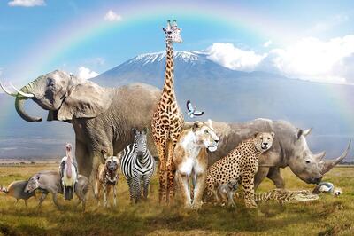 National Endangered Species Day 2021: Images, Quotes That'll Inspire You to Save the Nature