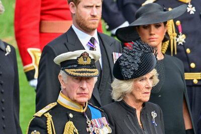 Prince Harry to Meet King Charles after Monarch’s Cancer Diagnosis, Signalling Royal Reconciliation