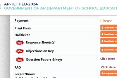 AP TET 2024 Answer Key Released at aptet.apcfss.in; Steps to Raise Objection