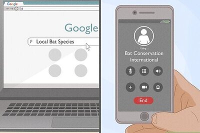 How to Attract Bats to Your Garden