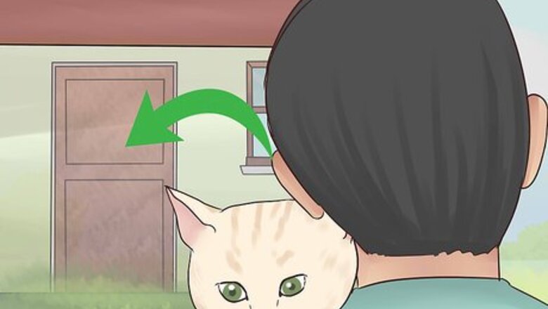 How to Take Care of Pets During a Hurricane