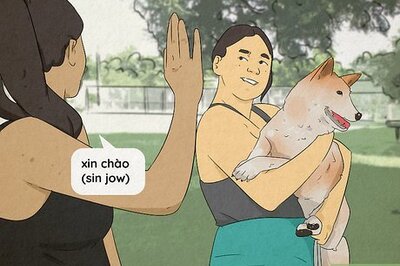 How to Say Hello in Vietnamese