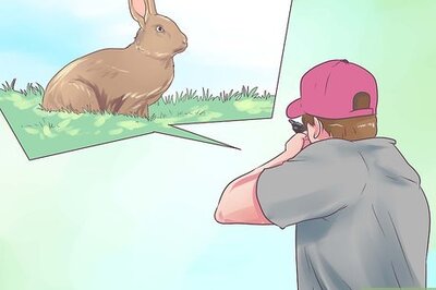 How to Field Dress a Rabbit