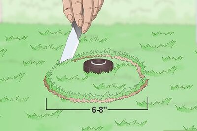 How to Repair a Pop up Sprinkler Head