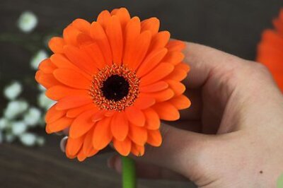 How to Make a Boutonniere