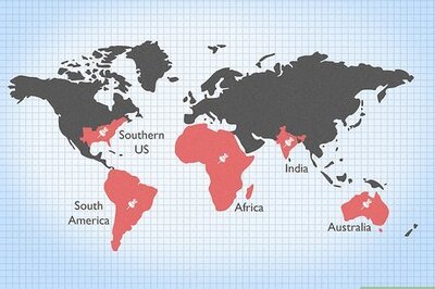 How to Plant Bermuda Grass