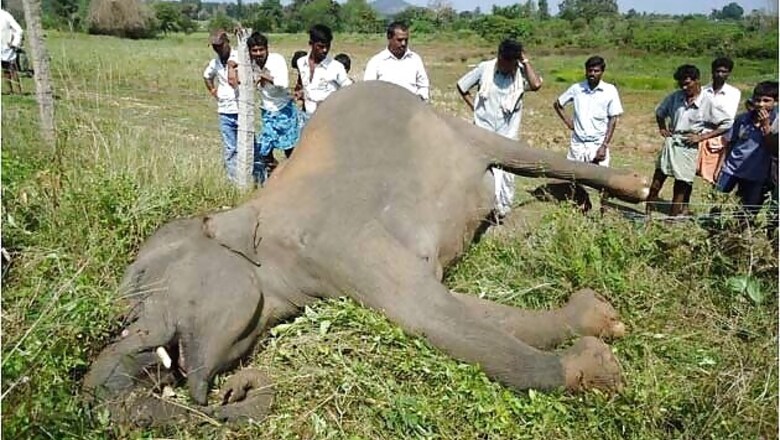 On India's forest fringes, widening animal-human clashes