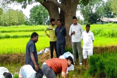Telangana Collector Rahul Raj Promotes Paddy Farming With Hands-on Planting