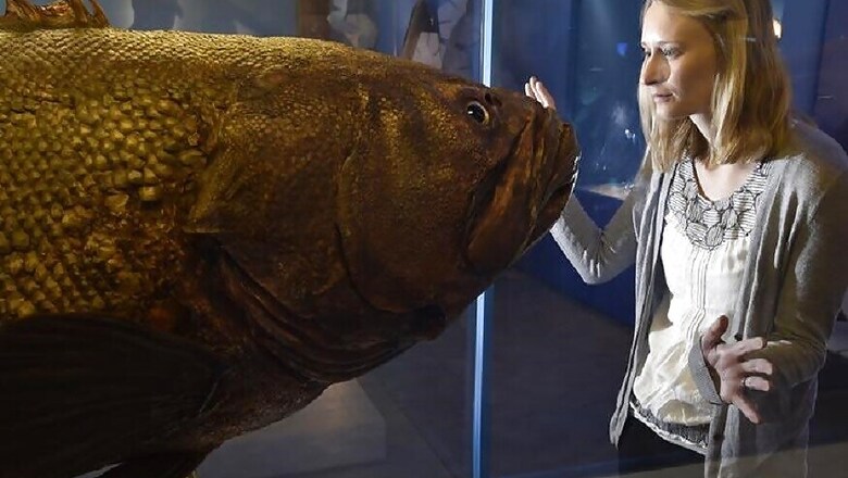 Digital Natural History Hub to Enhance Research Networking