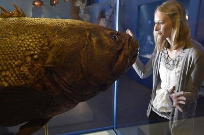 Digital Natural History Hub to Enhance Research Networking