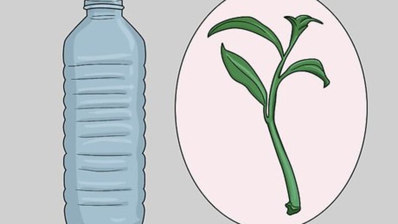 How to Build a Window Farm