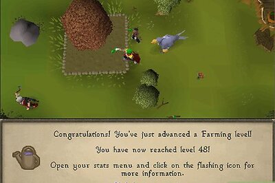 How to Farm Jute Fibres in RuneScape