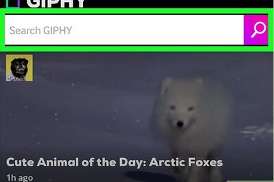 How to Find GIFs