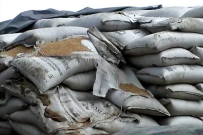 India may offer wheat to firms, poor as stocks rot