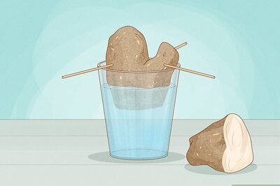 How to Grow Yams