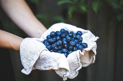 Add Chokeberries in Porridge to Help Boost Health