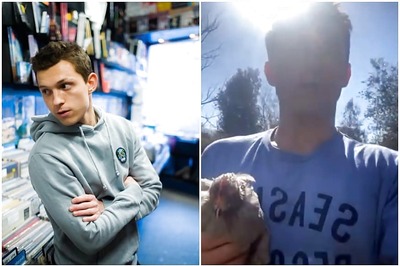 Spider-Man Tom Holland is Rearing Chickens to Battle Shortage of Eggs in Supermarkets