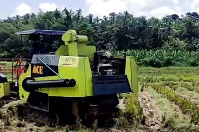 Paddy Cultivation Revived In Kerala's Vilayur Village After 15-year Gap