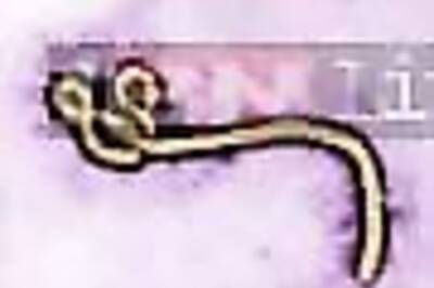 Ebola death toll soars to 4,555 out of 9,216: WHO