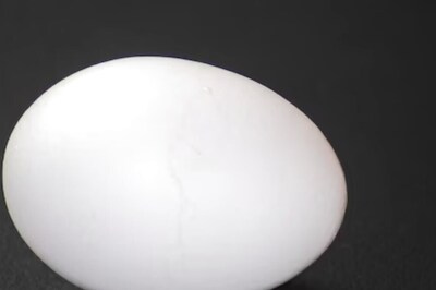 Egg Donated For Mosque Construction in Kashmir's Baramulla Raises Over Rs 2.26 Lakh In Auction