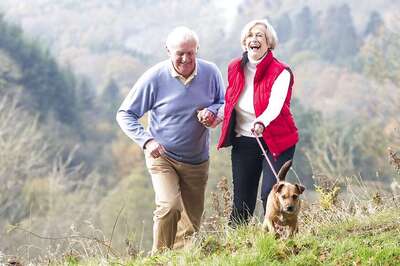 Tips To Enjoy A Pet Friendly Vacation