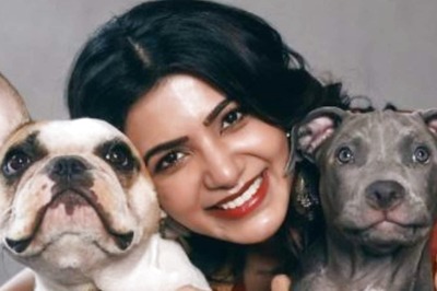 Samantha Akkineni Feels Terrible for Her 'Poor Firstborn', Shares Photo
