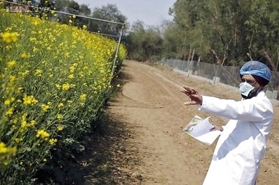 PM Modi bets on genetically modified crops for second green revolution