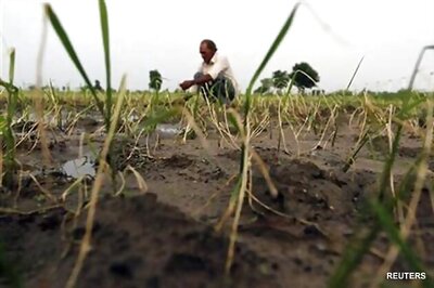 Drought delivers fresh blow to reeling economy