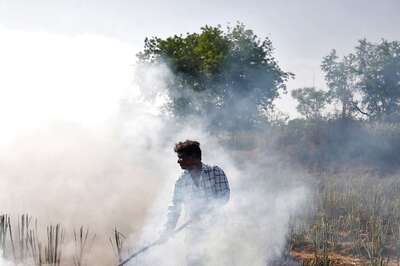 Smoggy Days Ahead in Delhi; Why Punjab Can’t Proactively Tackle Farm Fires Like Haryana, UP
