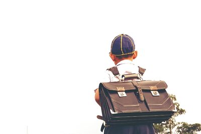 Half of Country Below Average in Foundational Literacy, Kerala, WB Top Performing: Govt Data