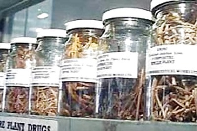 Agreement signed for commercialising Ayurvedic medicines