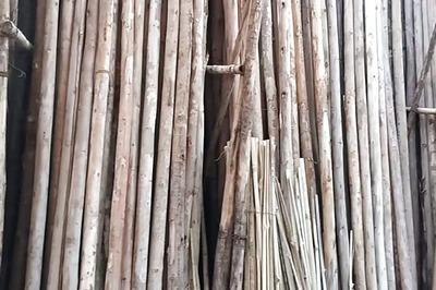 In Andhra Pradesh, Entrepreneur Makes Lakhs In A Year Through Nilgiri Bamboo Business