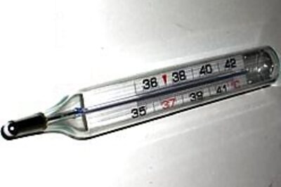 Indians at risk from mercury poisoning