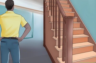 How to Decide if You Want a Dog