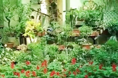 Meet Tamil Nadu Engineer Who Grows Organic Vegetables On His Terrace