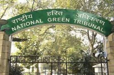 NGT Directs UP Govt to Specify Hastinapur Wildlife Sanctuary Boundary Within 6 Months