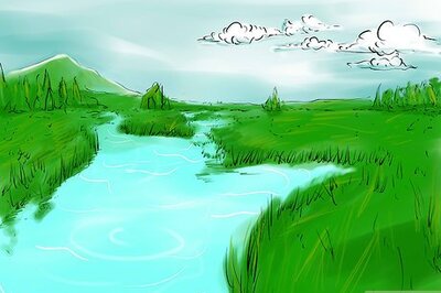 How to Harvest Wild Rice