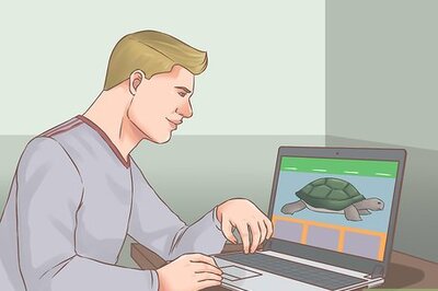 How to Plan a Zoo Trip with Kids