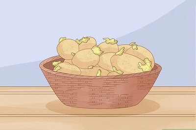 How to Grow Potatoes Indoors