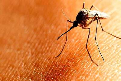 Trichy Identifies 32 New Hotspots of Dengue Mosquitoes