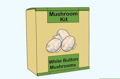 How to Grow White Button Mushrooms