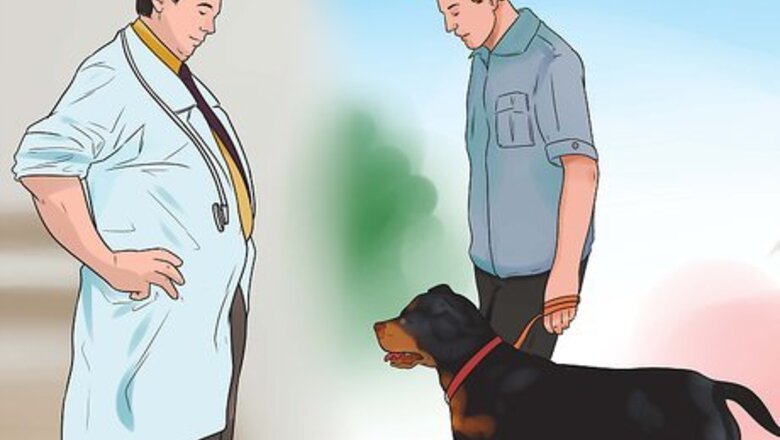 How to Be a Good Dog Owner