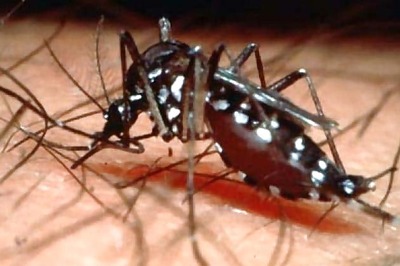 Dengue cases on the rise in Bihar: Health department