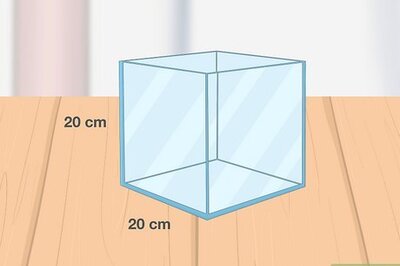 How to Care for Slugs