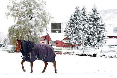 Sno(w)ctober? Early Snowfall Blankets Much Of Northeast US